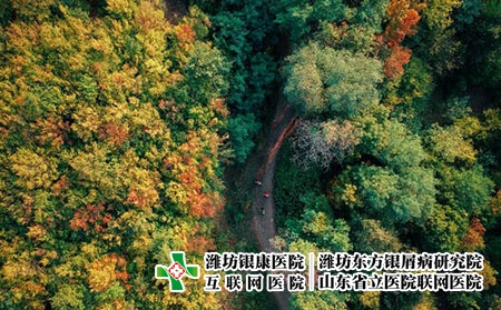 夏